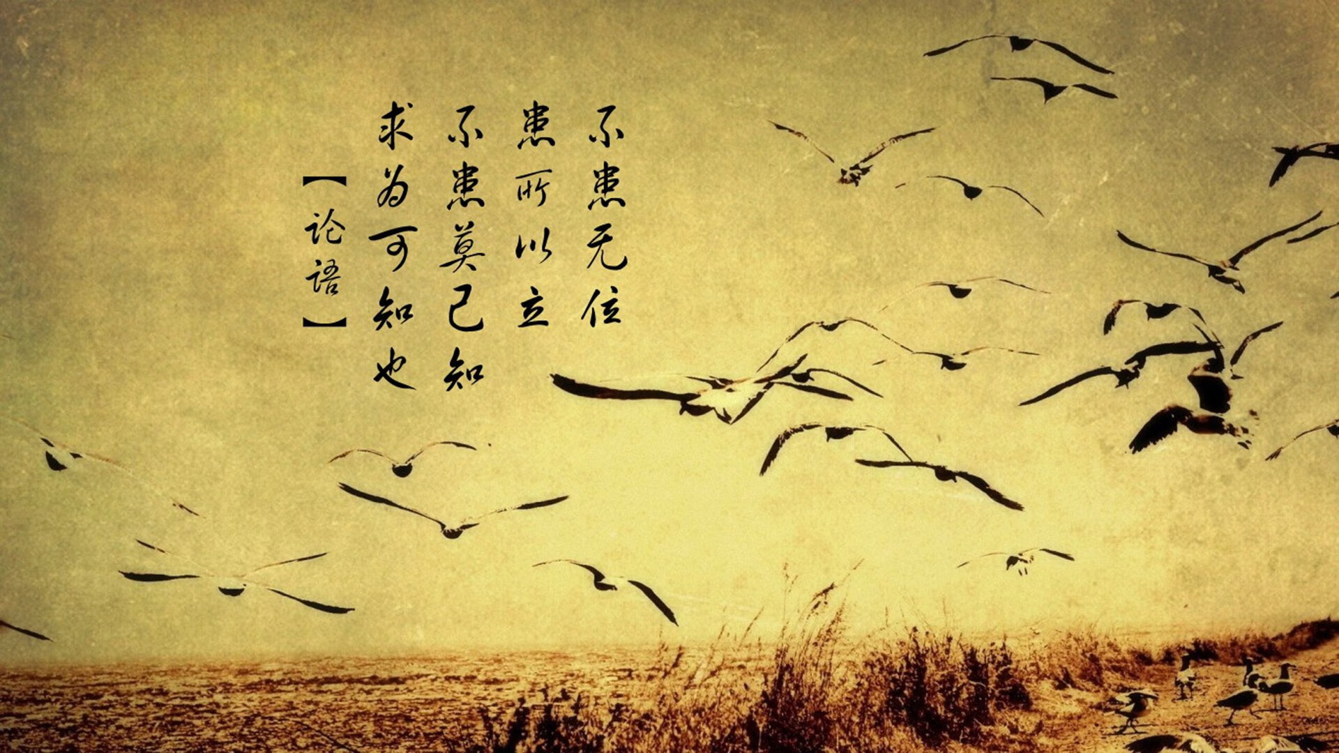 体育课程改革对学生健康素养的影响评估报告，体育课程改革的看法和建议
