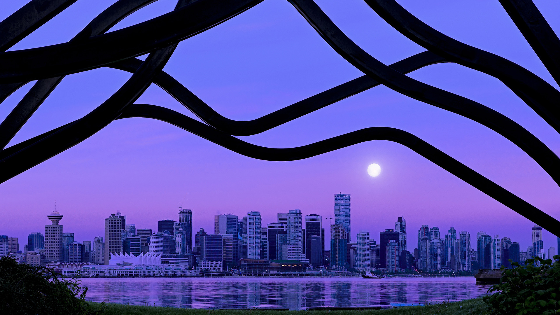 体育明星跨界参与综艺热度不减,体育明星专访