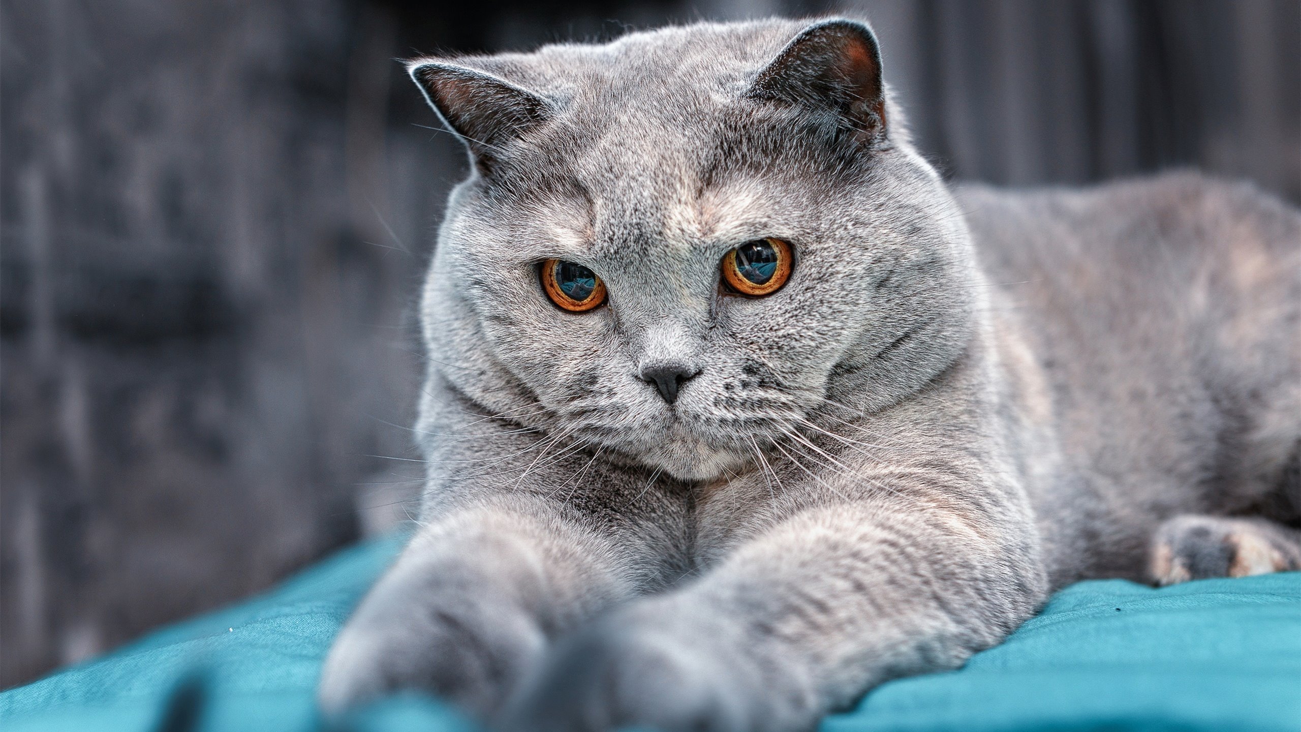 全运会火炬传递展示地方特色，全运会火炬的火种来自哪里