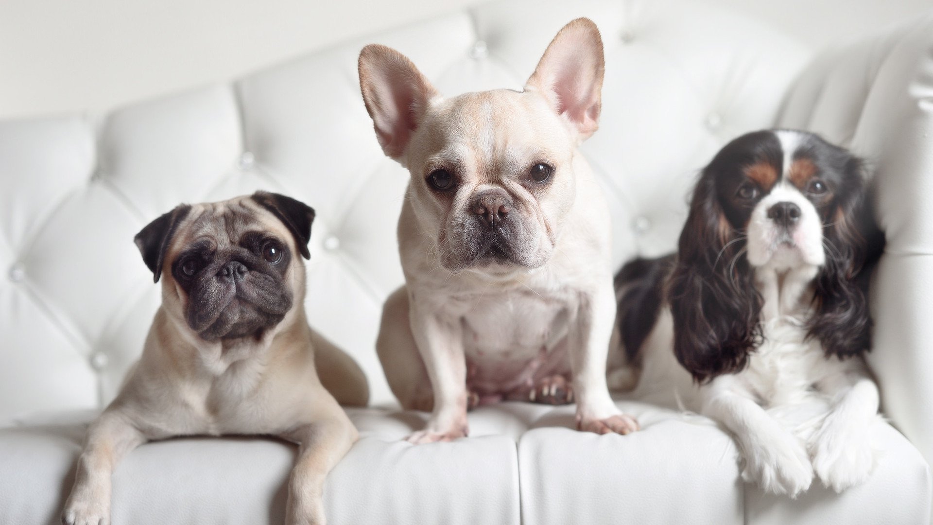 利物浦压制力持续上升打出完整体系,利物浦太强了