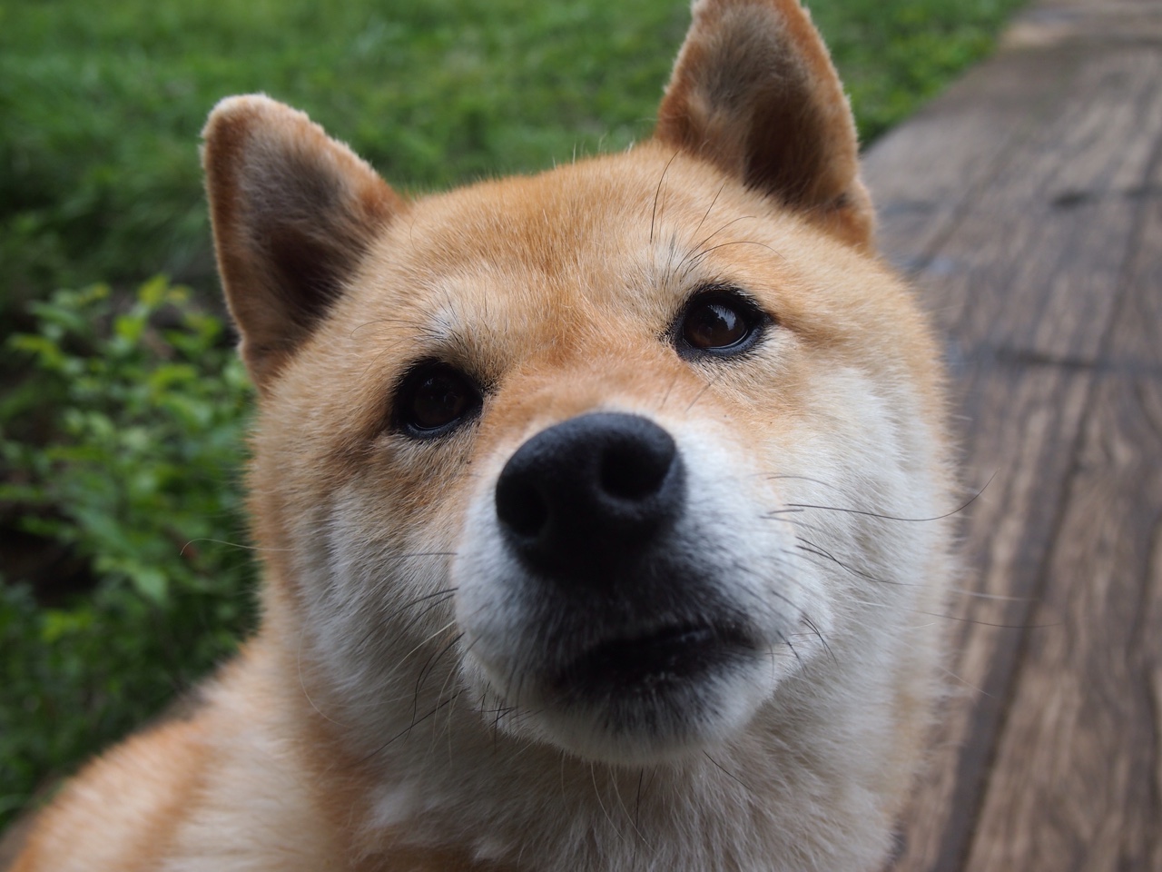 英超裁判吹罚标准演变对犯规判定的影响分析,足球吹裁判是什么意思