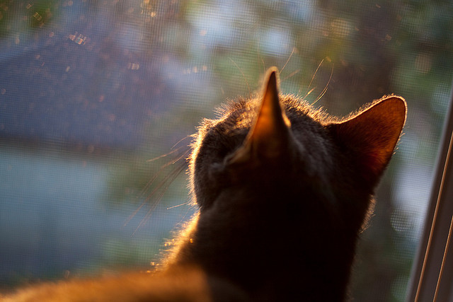 亚洲杯中国足球战平 球迷鼓励继续前行,亚洲杯足球中国队赛程表