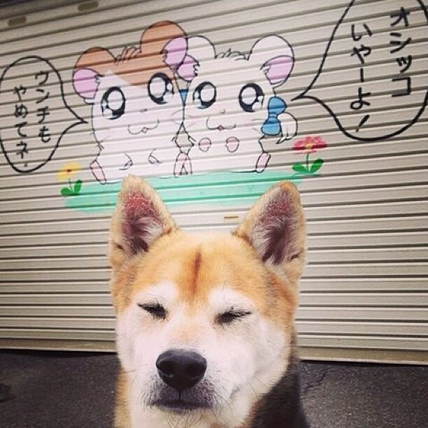 外教带队风格与中国球员适应难题，外籍教练怎么跟队员交流