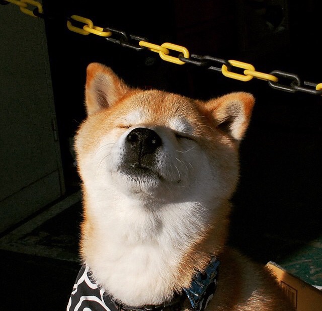 乐鱼体育官网网址-马竞稳固站位抵挡连续反扑攻势，马竞防守集锦